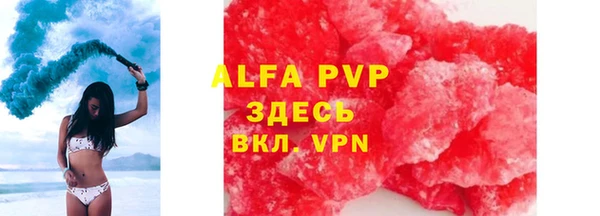 spice Аркадак